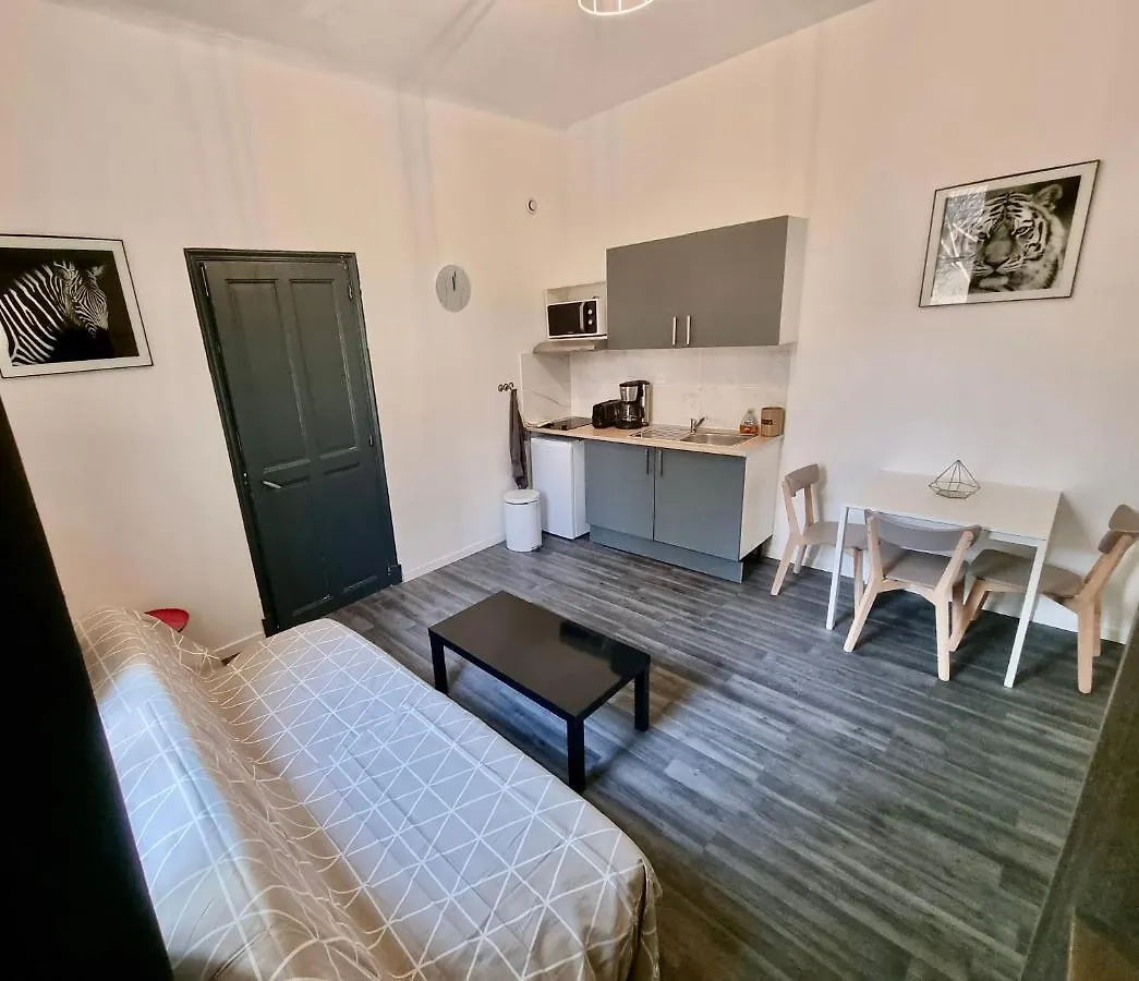Les Saules Studio Wifi Clim Gare Centre Αβινιόν Γαλλία