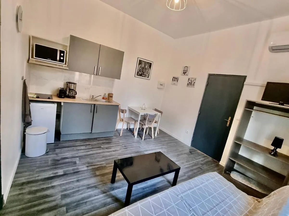 Les Saules Studio Wifi Clim Gare Centre Αβινιόν Διαμέρισμα