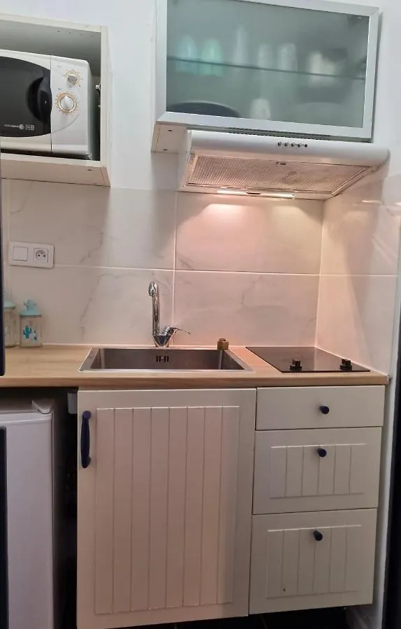 Les Saules Studio Wifi Clim Gare Centre Αβινιόν Διαμέρισμα